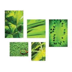 Kit 5 Placas Decorativas - Folhas Verde Kiwi Natureza Casa Quarto Sala - 084ktpl5 - comprar online