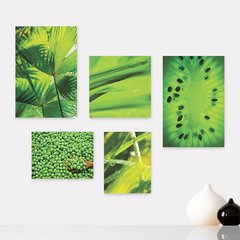 Kit 5 Placas Decorativas - Folhas Verde Kiwi Natureza Casa Quarto Sala - 084ktpl5