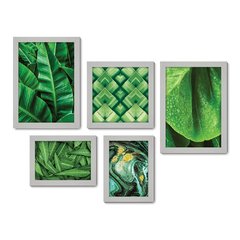 Kit Com 5 Quadros Decorativos - Folhas Natureza Verde - 085kq01 - Allodi