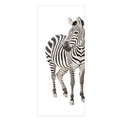 Adesivo Decorativo de Porta - Zebra - Animais - 085cnpt na internet