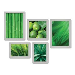 Kit Com 5 Quadros Decorativos - Folhas Natureza Verde Limão - 086kq01 - Allodi