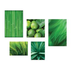 Kit 5 Placas Decorativas - Folhas Natureza Verde Limão Casa Quarto Sala - 086ktpl5 - comprar online