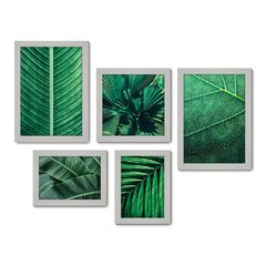 Kit Com 5 Quadros Decorativos - Folhas Natureza Verde - 087kq01 - Allodi