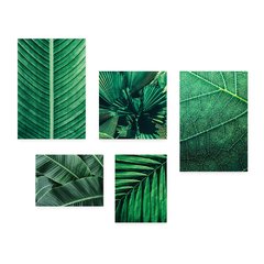Kit 5 Placas Decorativas - Folhas Natureza Verde Casa Quarto Sala - 087ktpl5 - comprar online