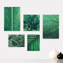 Kit 5 Placas Decorativas - Folhas Natureza Verde Casa Quarto Sala - 087ktpl5
