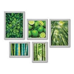 Kit Com 5 Quadros Decorativos - Natureza Floresta Verde Bambu - 088kq01 - Allodi