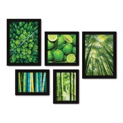 Kit Com 5 Quadros Decorativos - Natureza Floresta Verde Bambu - 088kq01 na internet