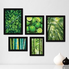 Kit Com 5 Quadros Decorativos - Natureza Floresta Verde Bambu - 088kq01