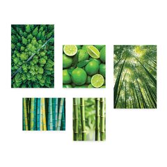 Kit 5 Placas Decorativas - Natureza Floresta Verde Bambu Casa Quarto Sala - 088ktpl5 - comprar online