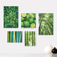 Kit 5 Placas Decorativas - Natureza Floresta Verde Bambu Casa Quarto Sala - 088ktpl5