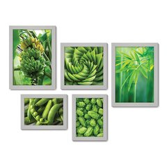 Kit Com 5 Quadros Decorativos - Natureza Frutas Verde Folhagem - 090kq01 - Allodi