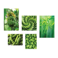 Kit 5 Placas Decorativas - Natureza Frutas Verde Folhagem Casa Quarto Sala - 090ktpl5 - comprar online
