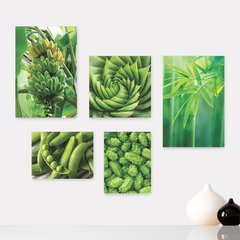 Kit 5 Placas Decorativas - Natureza Frutas Verde Folhagem Casa Quarto Sala - 090ktpl5