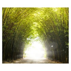 Papel de Parede Caminho Bambu Luz Paisagem Sala Painel Adesivo - 090pc na internet