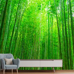 Papel de Parede Floresta Bambu Paisagem Sala Painel Adesivo - 091pc