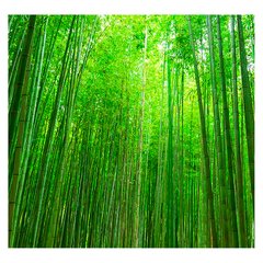 Papel de Parede Floresta Bambu Paisagem Sala Painel Adesivo - 091pc - comprar online