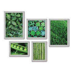 Kit Com 5 Quadros Decorativos - Verde Suculenta Natureza - 092kq01 - Allodi