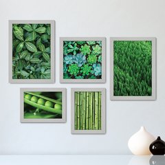 Kit Com 5 Quadros Decorativos - Verde Suculenta Natureza - 092kq01 - comprar online