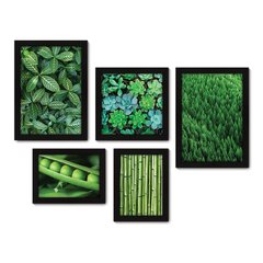 Kit Com 5 Quadros Decorativos - Verde Suculenta Natureza - 092kq01 na internet