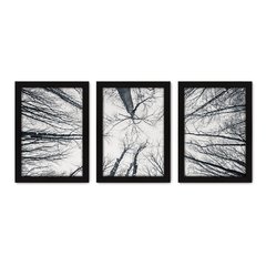 Kit Com 3 Quadros - Troncos Árvores Paisagem - 092kq02p - comprar online