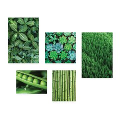 Kit 5 Placas Decorativas - Verde Suculenta Natureza Casa Quarto Sala - 092ktpl5 - comprar online