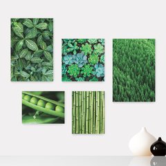 Kit 5 Placas Decorativas - Verde Suculenta Natureza Casa Quarto Sala - 092ktpl5
