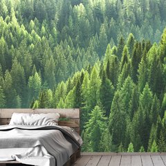 Papel de Parede Floresta Árvores Paisagem Sala Painel Adesivo - 092pc