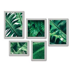 Kit Com 5 Quadros Decorativos - Folhas Natureza Verde - 093kq01 - Allodi