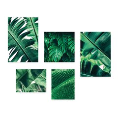 Kit 5 Placas Decorativas - Folhas Natureza Verde Casa Quarto Sala - 093ktpl5 - comprar online
