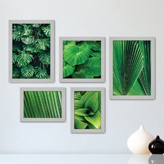 Kit Com 5 Quadros Decorativos - Folhas Natureza Folhagem - 094kq01 - comprar online