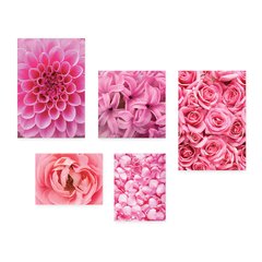 Kit 5 Placas Decorativas - Floral Flores Rosas Rosa Casa Quarto Sala - 100ktpl5 - comprar online