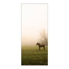 Adesivo Decorativo de Porta - Cavalo - 1024cnpt - loja online