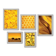 Kit Com 5 Quadros Decorativos - Amarelo Cobra Flor Elefantes - 105kq01 - Allodi