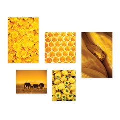 Kit 5 Placas Decorativas - Amarelo Cobra Flor Elefantes Casa Quarto Sala - 105ktpl5 - comprar online