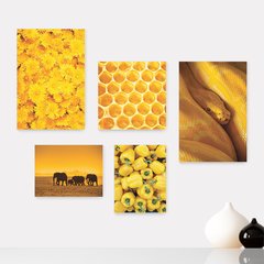 Kit 5 Placas Decorativas - Amarelo Cobra Flor Elefantes Casa Quarto Sala - 105ktpl5