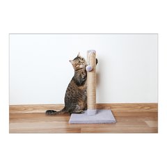 Painel Adesivo de Parede - Gato - Pet Shop - 1073pn - comprar online