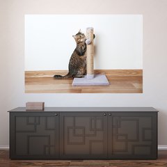 Painel Adesivo de Parede - Gato - Pet Shop - 1073pn