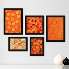 Kit Com 5 Quadros Decorativos - Laranja Sorvete Pimentão Folha - 107kq01