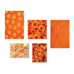 Kit 5 Placas Decorativas - Laranja Sorvete Pimentão Folha Casa Quarto Sala - 107ktpl5 - comprar online