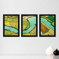 Kit Com 3 Quadros - Plantação Rio Paisagem - 111kq02p