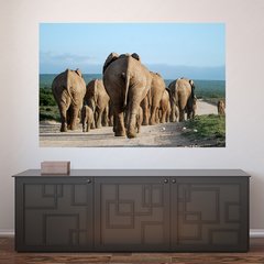 Painel Adesivo de Parede - Animais - Elefante - 1149pn