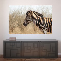 Painel Adesivo de Parede - Animais - Zebra - 1150pn