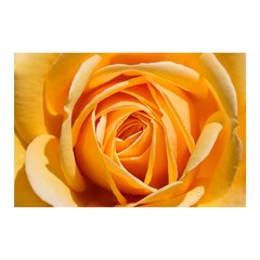 Painel Adesivo de Parede - Rosa Amarela - Flores - 1209pn - comprar online