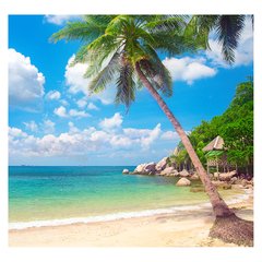 Papel de Parede Praia Paisagem Coqueiro Mar Sala Painel Adesivo - 121pc - comprar online