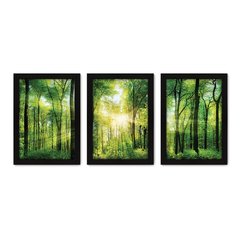 Kit Com 3 Quadros - Floresta Árvores Paisagem - 122kq02p - comprar online