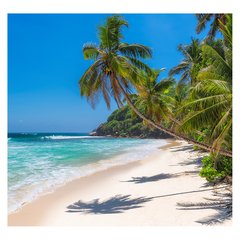 Papel de Parede Praia Paisagem Coqueiro Mar Sala Painel Adesivo - 124pc - comprar online