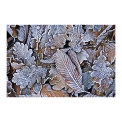 Painel Adesivo de Parede - Folhas - Inverno - 1273pn - comprar online