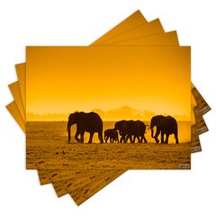 Jogo Americano com 4 peças - Elefantes - Animais - 1277Jo