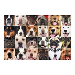 Painel Adesivo de Parede - Cachorros - Pet Shop - 1295pn - comprar online