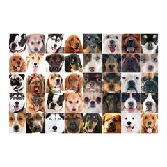 Painel Adesivo de Parede - Cachorros - Pet Shop - 1296pn - comprar online